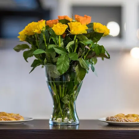 Maya's Flats & - Old Town Piwna * Gdaňsk