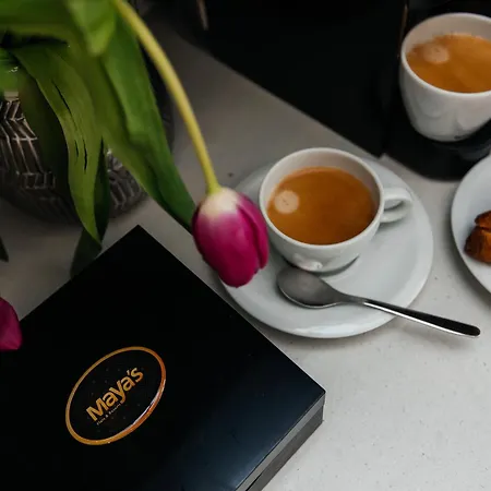 Maya's Flats & - Old Town Piwna