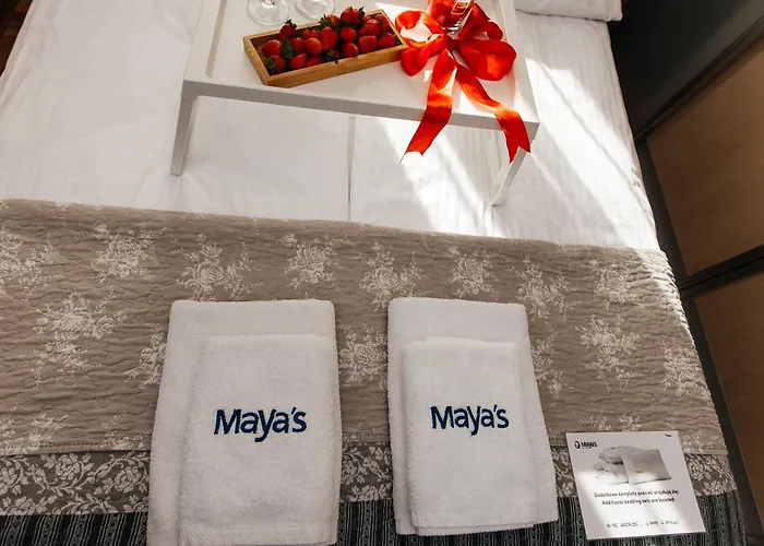 Maya's Flats & - Old Town Piwna